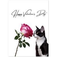 Load image into Gallery viewer, 041c0994-1c11-4da8-b995-7cb3edb8fbe6
