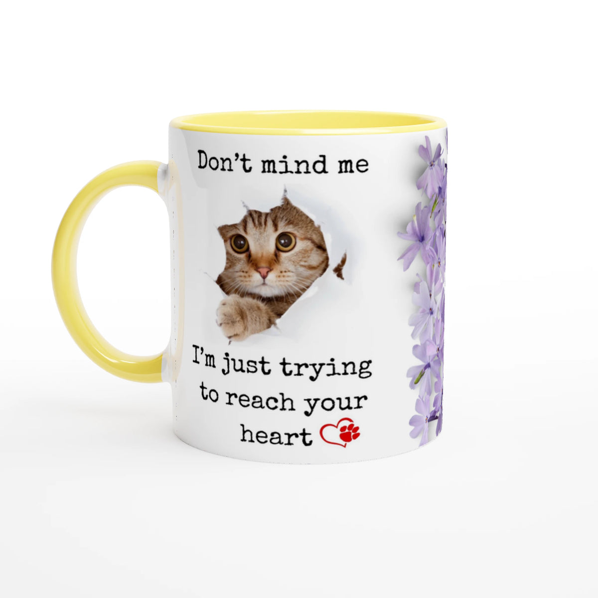 16e6583f-1753-4f68-9c06-552e075e9b77