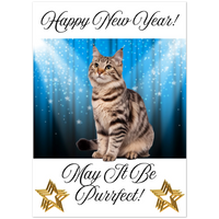 Load image into Gallery viewer, 52f1ff12-8ba2-4f14-835b-7e58463dd4d8
