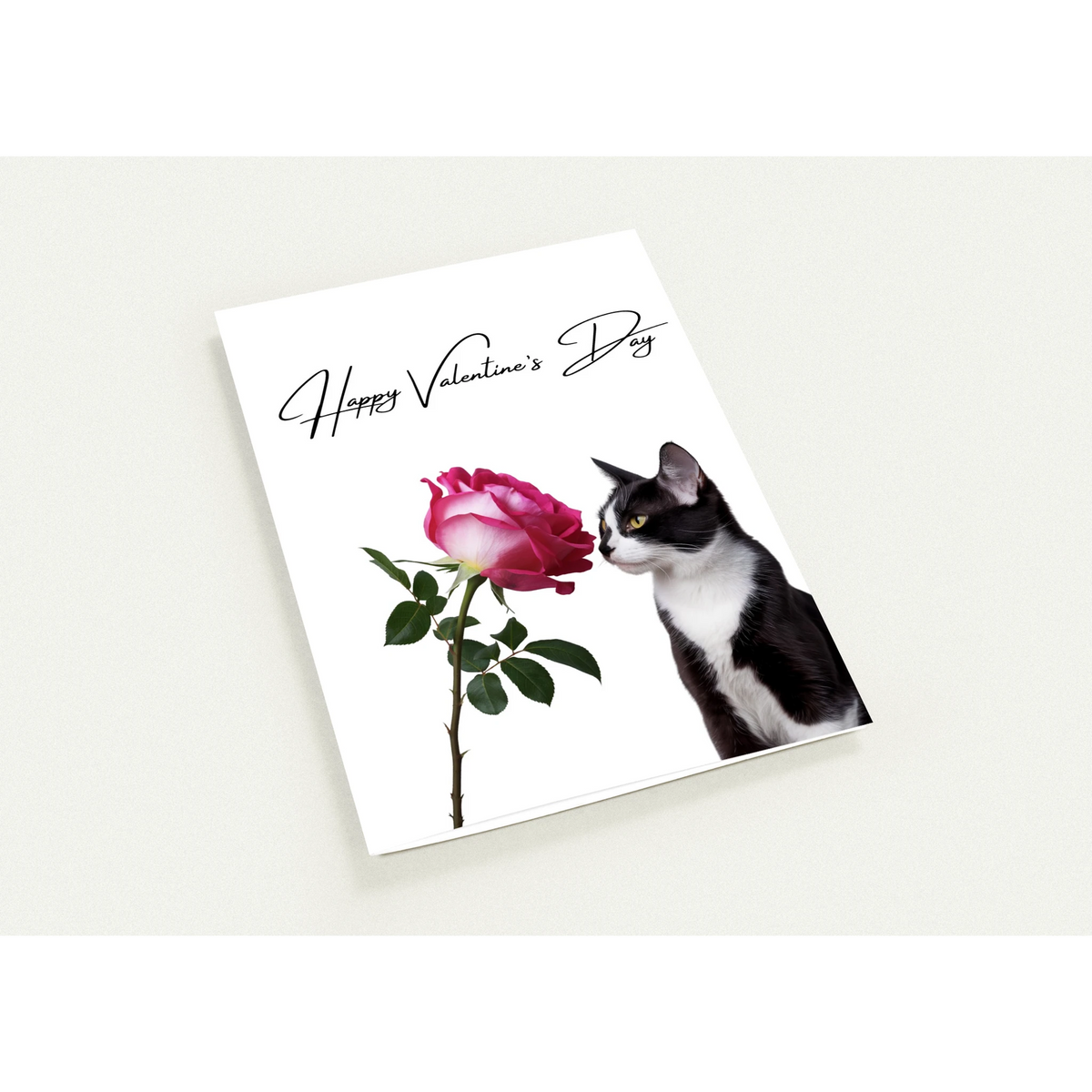 82480ed4-8248-43f6-a6ab-d8f6ad9d8cc4