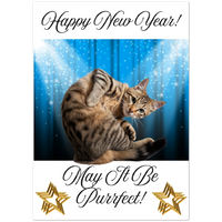 Load image into Gallery viewer, 84537b3f-ad59-47fa-a1db-649c928ead0e
