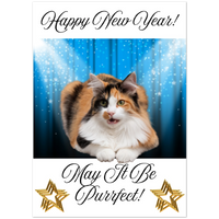 Load image into Gallery viewer, 9389af8c-2add-4ebe-b5a8-4d784464911d
