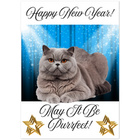 Load image into Gallery viewer, 972ce9af-d7c4-4fe6-8972-11cd5dc0466e
