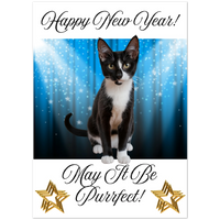 Load image into Gallery viewer, ba3c601e-ece6-48a3-93cd-7e71692f41ed
