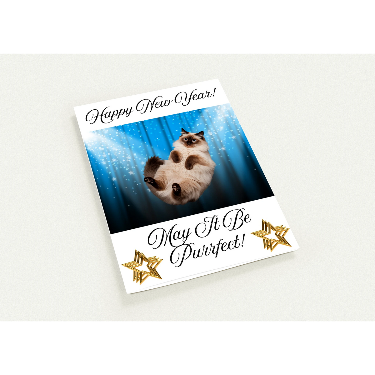 cbad83c3-a12c-476b-a277-fb8d55637feb