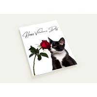 Load image into Gallery viewer, cf792c85-0208-4604-bdd7-20661b2f075a
