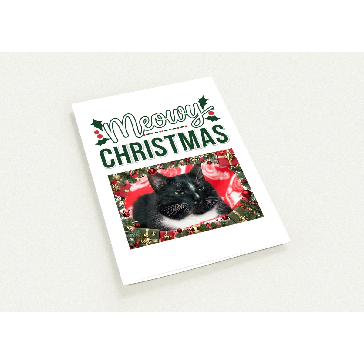 db2ccc32-bc6d-4e06-925d-75c5836a6332